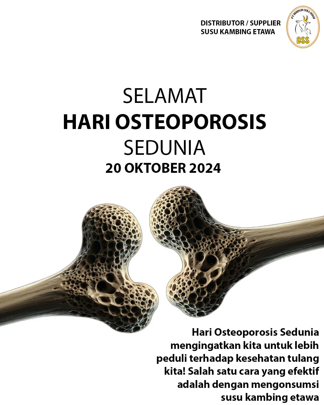 poster-hari-osteoporosis-sedunia